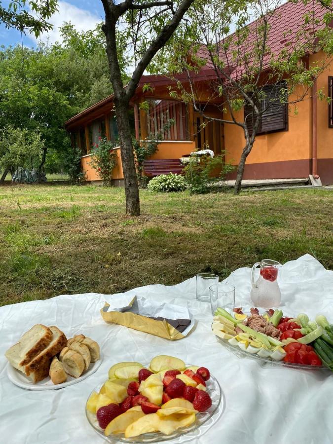 Ab'S Rustic Cabin Dezsán Kültér fotó