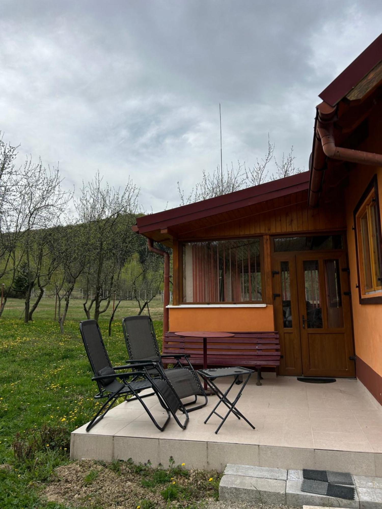 Ab'S Rustic Cabin Dezsán Kültér fotó